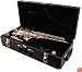LJ Hutchen Eb Alto Saxophone with Case - 2 Year Warranty