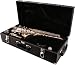 LJ Hutchen Eb Alto Saxophone with Case - 2 Year Warranty