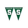 Michigan State Spartans NCAA 25Ft String Of 6 x 9 Party Pennants (Flags) by BSI Products Inc.