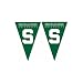 Michigan State Spartans NCAA 25Ft String Of 6 x 9 Party Pennants (Flags) by BSI Products Inc.