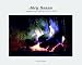 J�rg Sasse - Tableaus und Skizzen 2004 / 2005