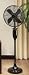 Deco Breeze Blackwood Standing Floor Fan