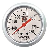 Silver Electric Meter 2 1/16 Water Temperature 100-250 F