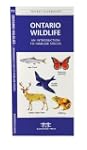 Ontario Wildlife, 2nd: An Introductio...