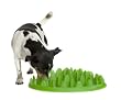 Green Interactive Feeder- Eat Slow