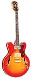 Hollow Body Electric Guitars