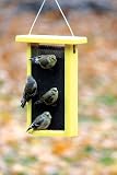 Birds Choice - Magnet Mesh Weatherproof Poly-Composite Nyjer Bird Feeder - 1.5 Quart