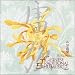 Chinese Traditional Erhu Music 2