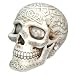 Sale - Celtic Skull - Magnificent - Ships Immediatly !!