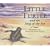 Little Turtle and the Song of the Sea