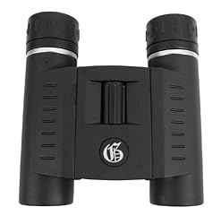 Galileo 10x25 Phase Coated Roof Prism Binoculars