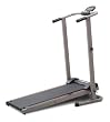 Weslo Cardio Stride Plus