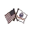 US and Army Lapel Pin