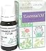 �v���i���� �C�����C���� 10ml