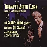 Trumpet After Dark
