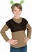 Shrek Forever After- Shrek Ears Child