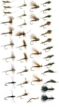 Western Trout Fly Fishing Flies Collection