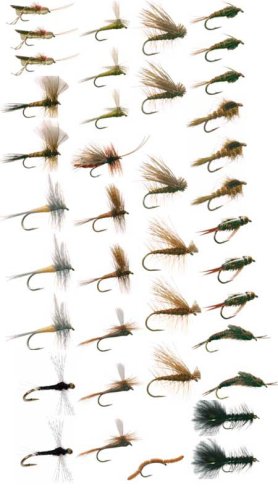 Western Trout Fly Fishing Flies Collection