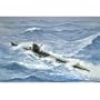 05009 1/144 German Sub Type VII D