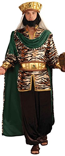 Forum Novelties Men's Biblical Emerald Wiseman Adult Costume, Multicolor, Standard