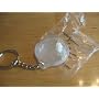 Tupperware Ice Prism Keychain
