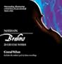 Notes on Brahms: 20 Crucial Works (Notes on (William B. Eerdmans Publishing))