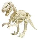 I DIG Dinosaurs Velociraptor Skeleton Excavation Adventure