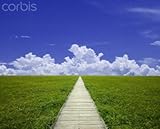 IMAGE OF Wallmonkeys Peel and Stick Wall Decals - Wooden Walkway through Grassland - 18