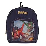 Harry Potter Quidditch Large Backpack
