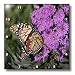 Monarch Butterfly on a Blazing Star Flower - 10x10 Wall Clock