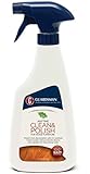 Guardsman Clean & Polish for Wood Furniture, Woodland Fresh 16 oz Spray 461100