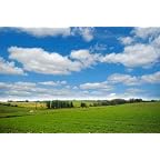 Farmland with Blue and Cloudy Sky