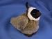 Quail Plush Toy 6 