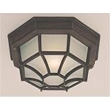 Forte Lighting 17005-01-28 / 17005-01-64 One Light Outdoor Flush Mount Finish: Painted Rust