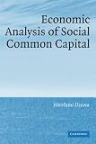 Economic Analysis of Social Common Capital