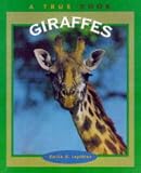 Giraffes (True Books)