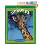 Giraffes (True Books)