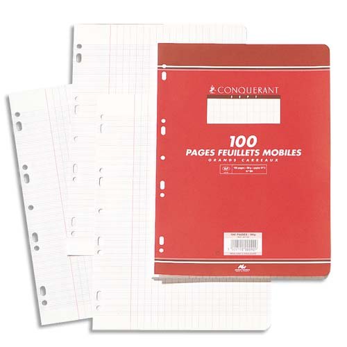 Sachet de 50 feuilles perforées 5x5 A4 90 g CALLIGRAPHE