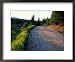 Dirt Road Through the Boreal Forest, Northern Forest, Vermont, USA Places Framed Art ...