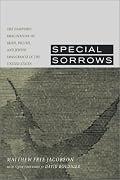 Special Sorrows: The Diasporic Imagination of Irish, Polish, and Jewish Immigrants in the United States