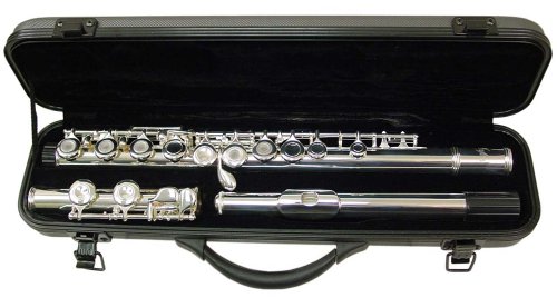 Childrens Toyshop  Musical Instruments : Signature Music Open Hole Silver Low C Flute 16 Holes 2820S