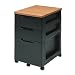 Kitchen & Housewares : Iris File Chest with Cherry-Finish Top - Black
