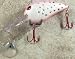 JLVLures Deep Crankbait Strawberry Freckle : Diver Lures JLV Freshwater Smallmouth Steelhead Pike Salmon Trout