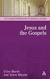 Jesus and the Gospels: An Introduction (Approaches to Biblical Studies)