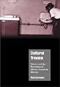Cultural Trauma: Slavery and the Formation of African American Identity (Cambridge Cultural Social Studies)