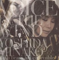 VOICE IN THE WIND (SACDハイブリッド盤)