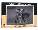 Inseparable Kittens Puzzle