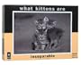 What Kittens Are - Inseparable Jigsaw Puzzle: 500 Pcs