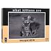 What Kittens Are - Inseparable Jigsaw Puzzle: 500 Pcs