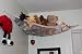 Deluxe Pet Net - Stuffed Animal & Toy Organizer - 26